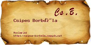 Csipes Borbála névjegykártya