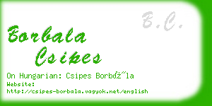 borbala csipes business card